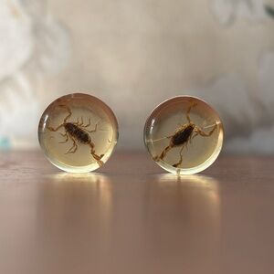 Scorpion Ear Plugs 1/2”